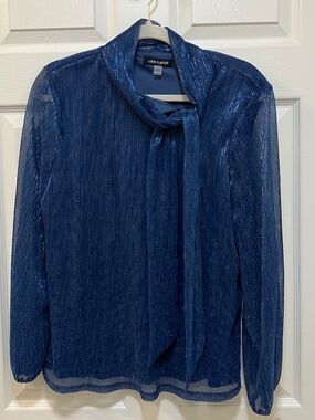 Cable & Gauge silver blue long sleeved blouse size L